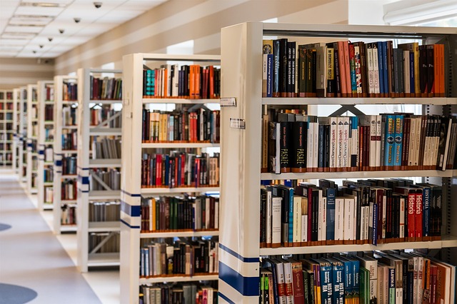 Library Picture